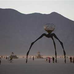 Second Festivalgoer Death Reported at Burning Man 2026