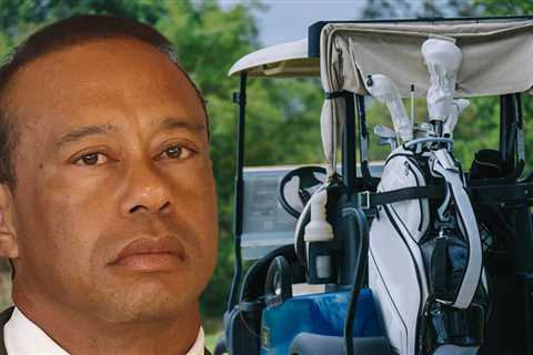 Tiger Woods Plea Deal Includes Driving Golf Carts