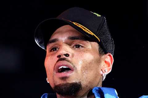 Chris Brown Fan Offers Up Wife As Stage Girl for Steamy Song