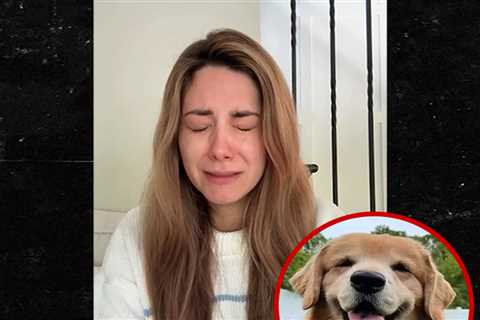 Beloved Dog Influencer Tucker Budzyn Dies After Cancer Diagnosis