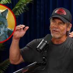 Josh Brolin Says He Grew Up With Wolves and Mountain Lions Living In His Home