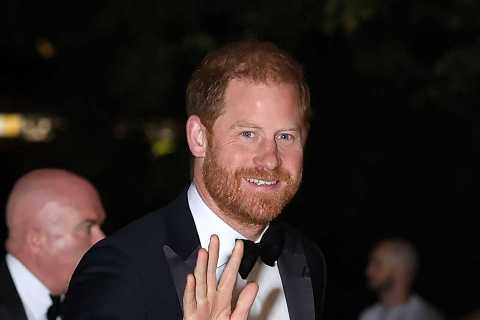 UK Security Review Opens New Path for Prince Harry's Police Protection Campaign
