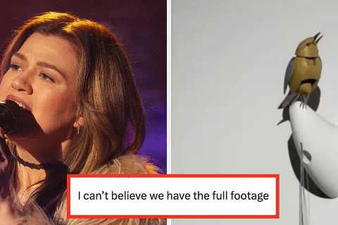 “I Usually Like Kelly, But This Is Icky”: We Have New Footage Of Kelly Clarkson’s Infamous Visit To ..